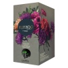 Elizondo Select Coupage. Bag in Box 5 Litros