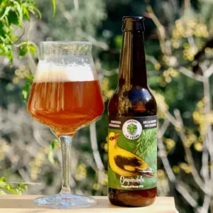 Cerveja La Oropêndola 33 cl. Cervejas La Yedra