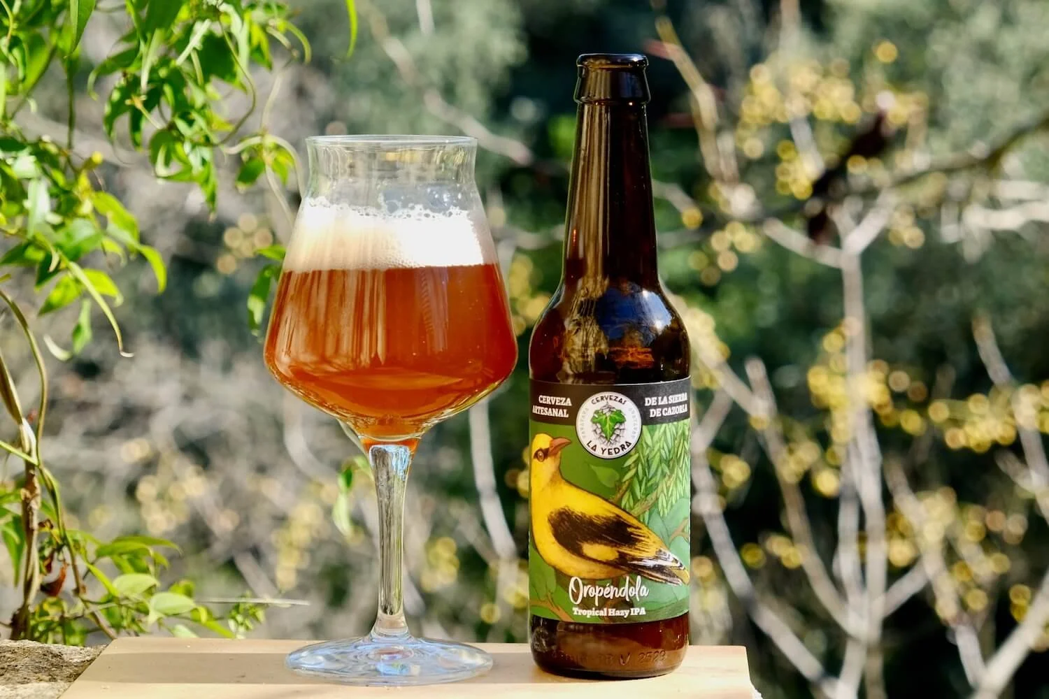 Cerveza La Oropéndola 33 cl. Cervezas La Yedra
